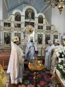 Соборне богослужіння в храмі на честь архістратига Божого Михаїла селища Кам'яний Брід